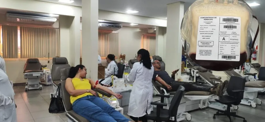 Hemosul Dourados descarta bolsas de sangue devido a lipemia
