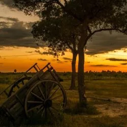O barulho de uma carroça vazia traz uma lição que muita gente precisa ouvir. - Foto; Gerada por IA