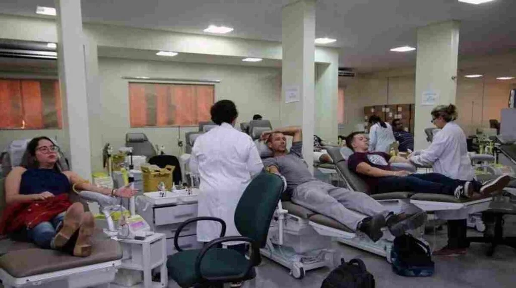 Hemosul Dourados descarta bolsas de sangue devido a lipemia