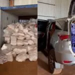 Operação em Dourados apreende 8 toneladas de maconha e prende dois