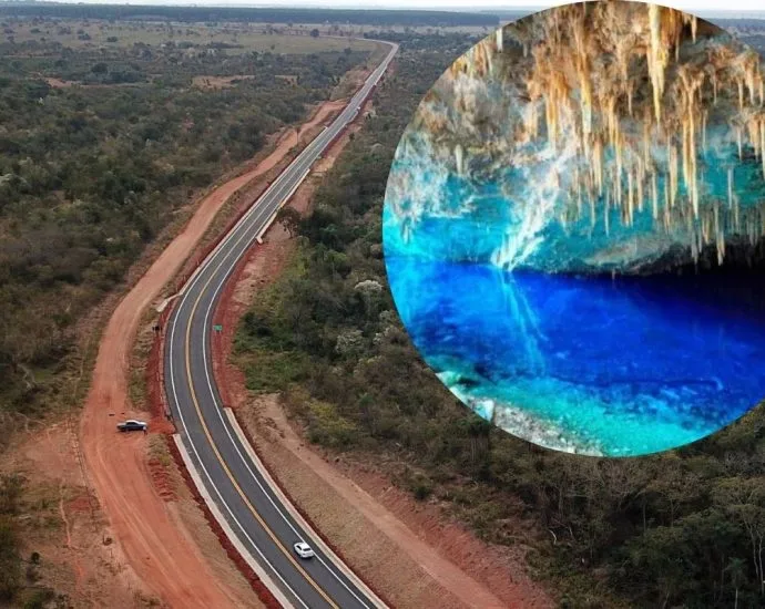Cercas de 27 km serão instaladas na MS-345 para proteger animais em Bonito