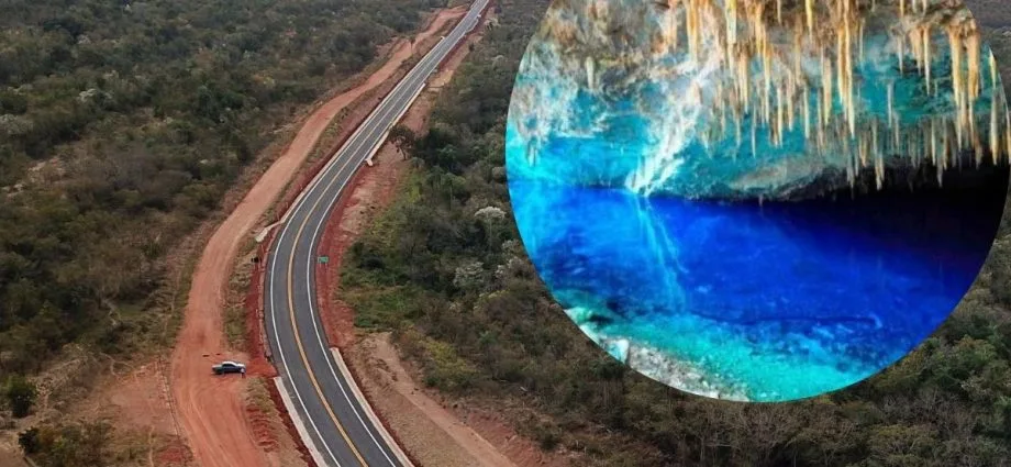 Cercas de 27 km serão instaladas na MS-345 para proteger animais em Bonito