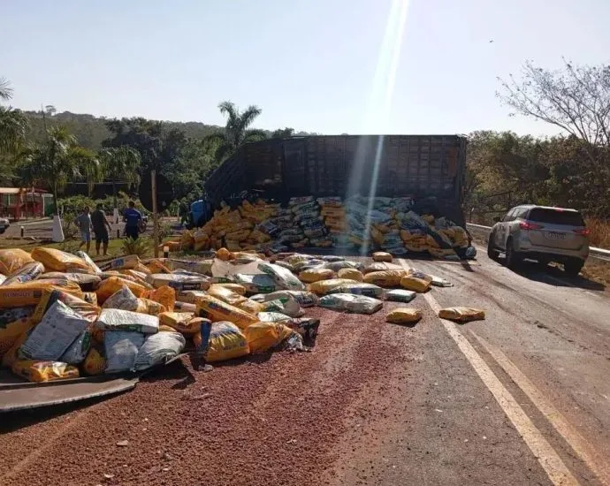 Caminhão tomba e interdita BR-060 em Paraíso das Águas