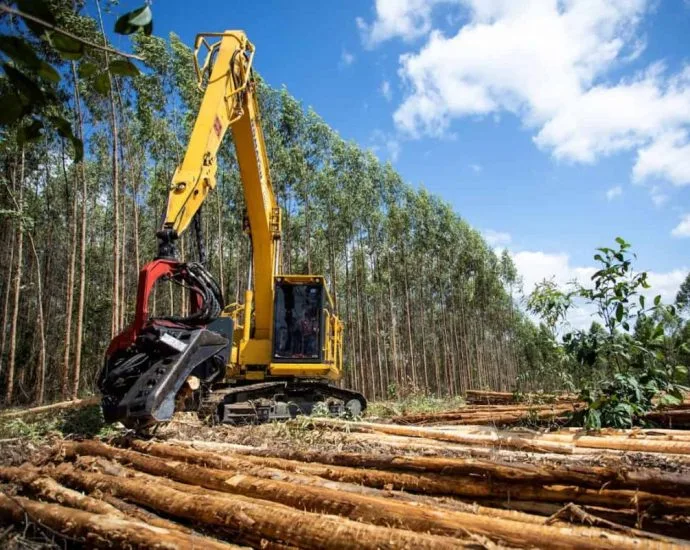 MS Florestal abre seletiva para operadores de máquina de colheita em Mato Grosso do Sul