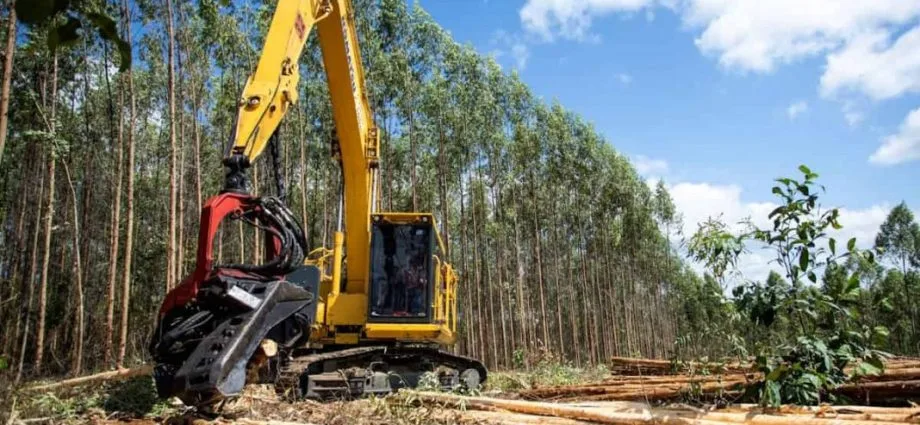 MS Florestal abre seletiva para operadores de máquina de colheita em Mato Grosso do Sul
