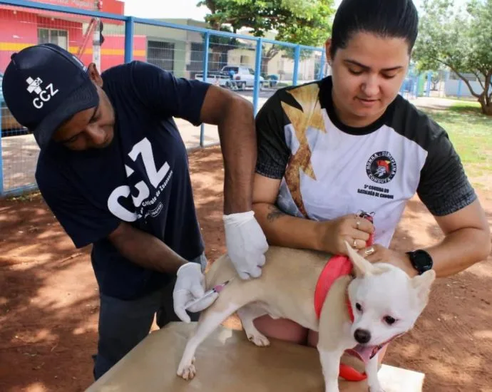 Censo animal em Campo Grande vai mapear população de pets