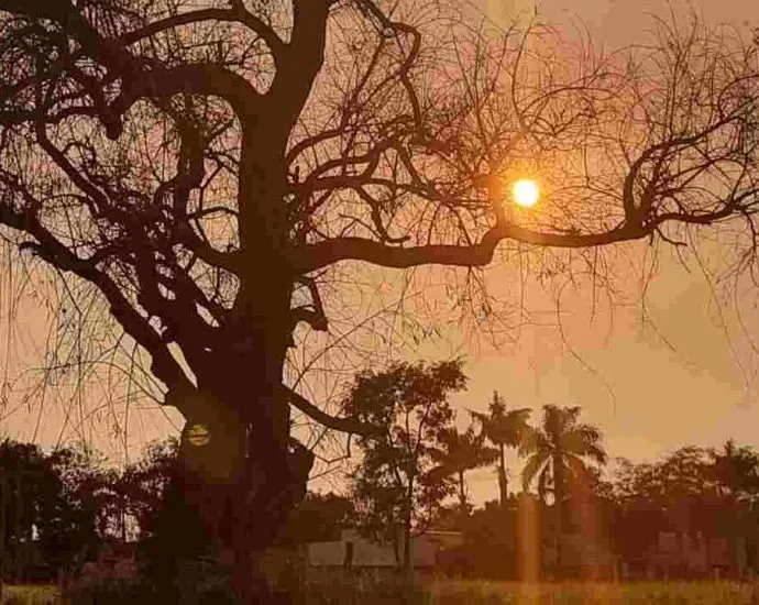 MS em alerta laranja devido ao tempo seco e risco de incêndios