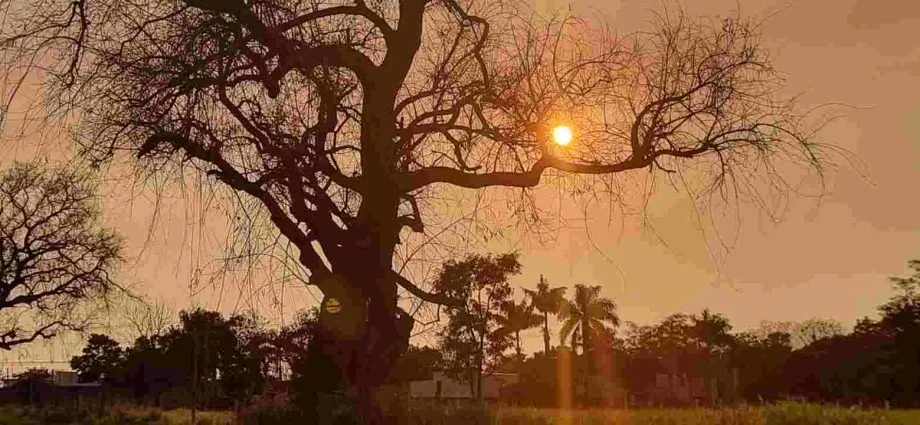 MS em alerta laranja devido ao tempo seco e risco de incêndios