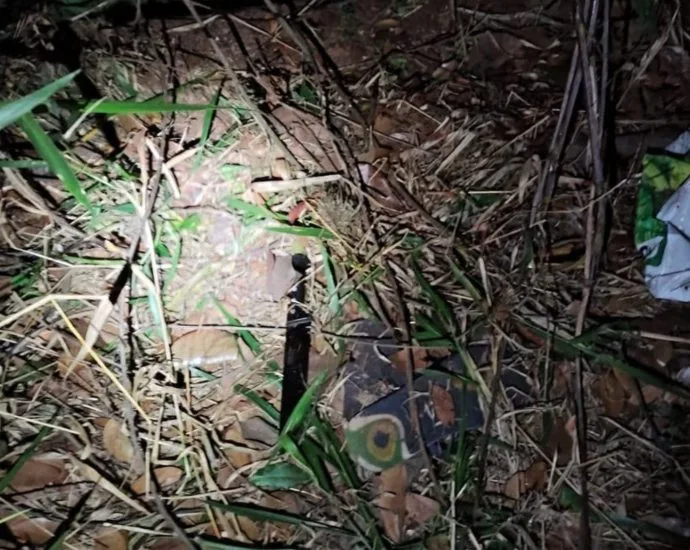 Homem é morto pela PM em Campo Grande após roubo e ataque com faca