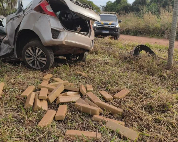 Motorista morre após colisão em árvore durante fuga em Brasilândia