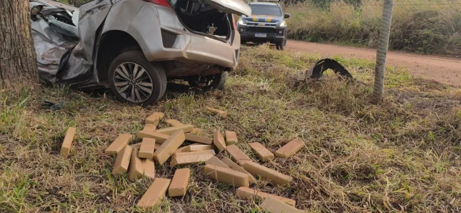 Motorista morre após colisão em árvore durante fuga em Brasilândia
