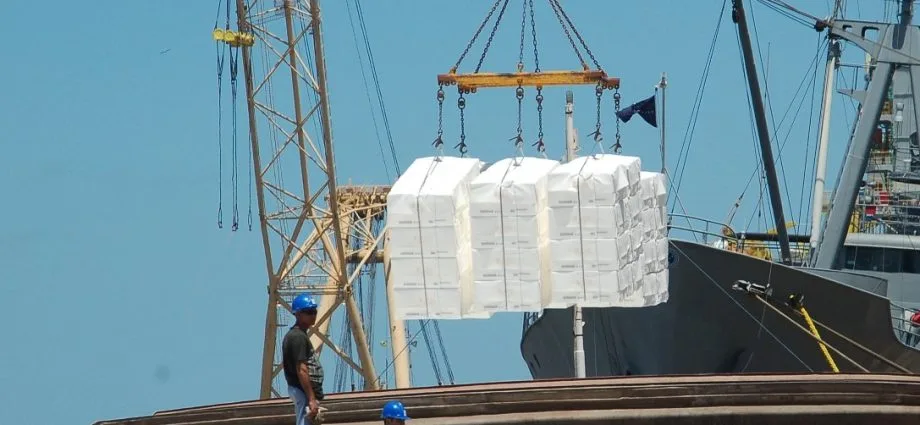 Exportações de Mato Grosso do Sul alcançam US$ 1,3 bilhão em julho
