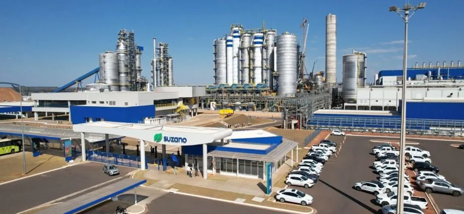 Suzano oferece 17 oportunidades de emprego em Água Clara, Brasilândia, Ribas do Rio Pardo e Três Lagoas (MS)