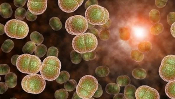 Paranaíba confirma novo caso de meningite meningocócica e alerta sobre sintomas