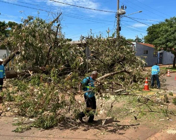 Consertar telhado? Cuidado com temporais previstos em MS
