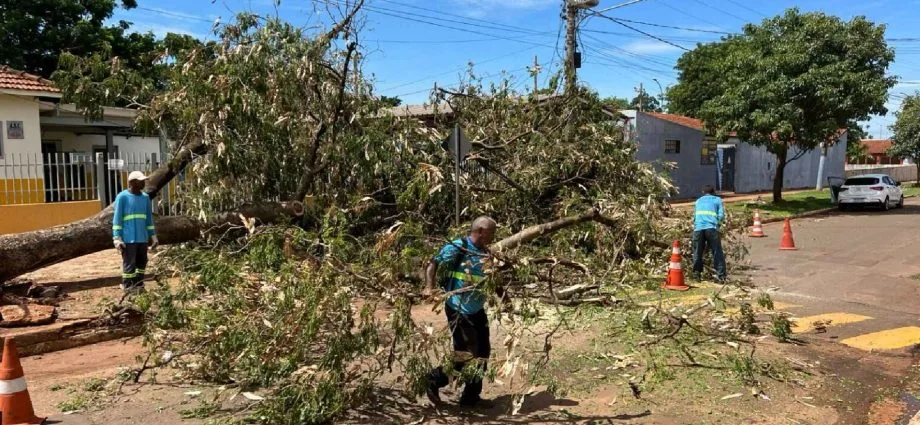 Consertar telhado? Cuidado com temporais previstos em MS