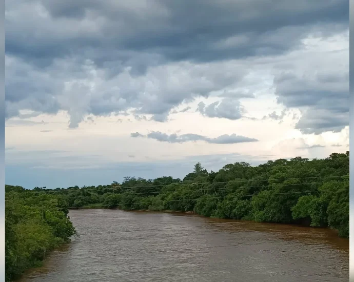 Mato Grosso do Sul registra três rios em situação de estiagem