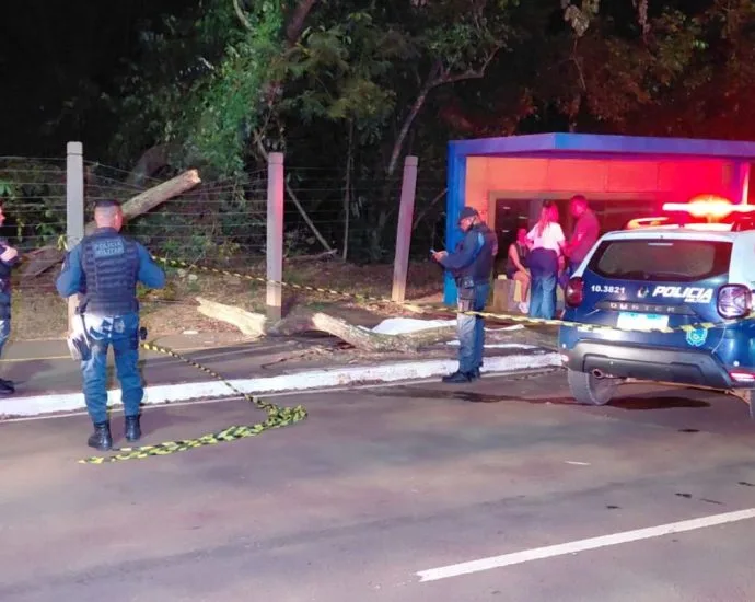 Imasul realiza vistoria em árvores no Parque dos Poderes após morte de jovem em Campo Grande