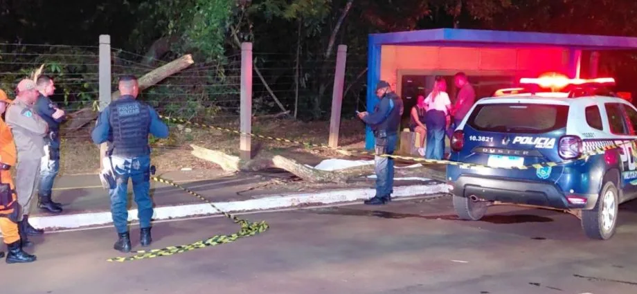 Imasul realiza vistoria em árvores no Parque dos Poderes após morte de jovem em Campo Grande