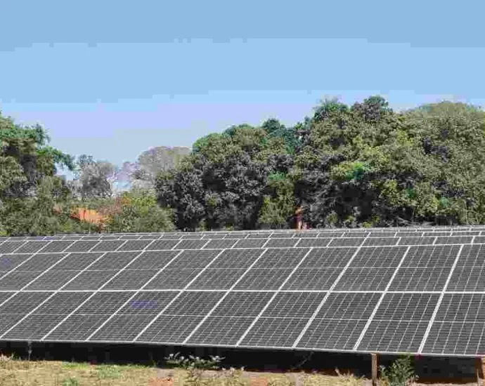 Entidade é escolhida para elaborar Plano Estadual de Transição Energética de MS