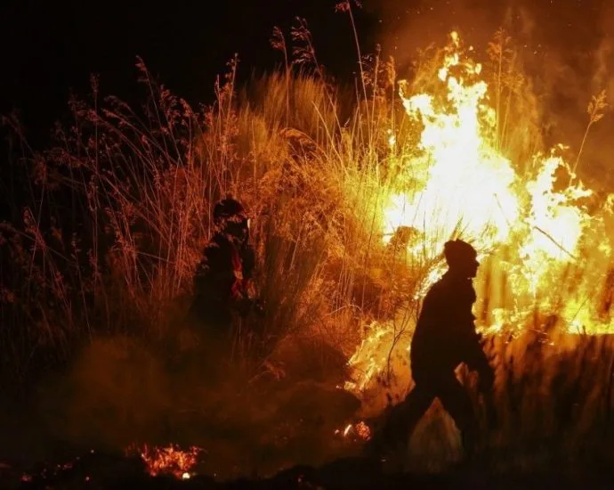 Incêndios florestais atingem áreas da Grécia