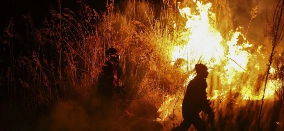 Incêndios florestais atingem áreas da Grécia