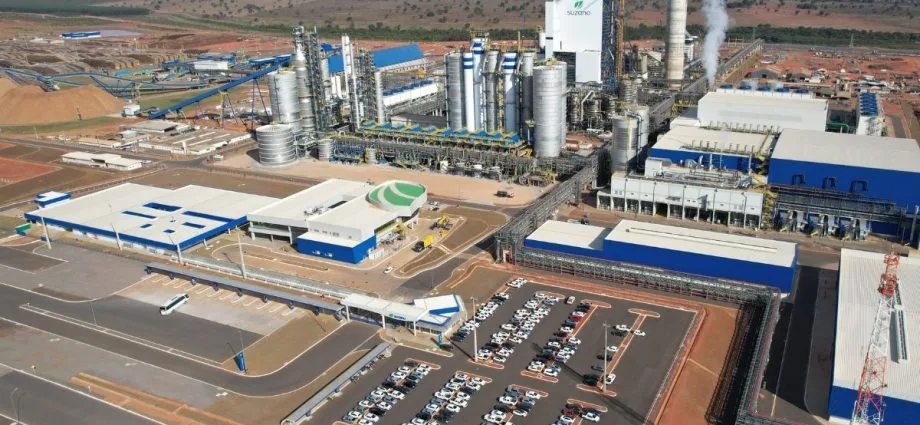 Suzano oferece 18 vagas de emprego em Brasilândia, Ribas do Rio Pardo e Três Lagoas (MS)