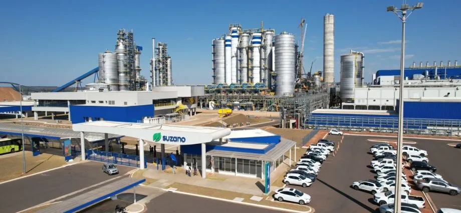 Suzano registra receita de R$ 11,6 bilhões no 2º trimestre de 2026