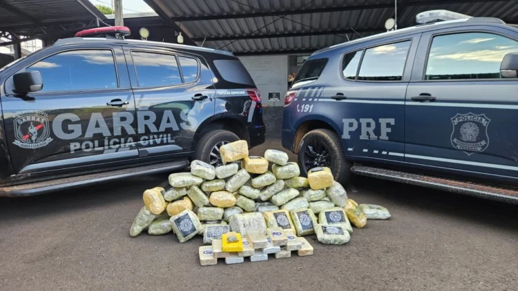 Polícia apreende 75 kg de drogas em operação na BR-262 em Campo Grande