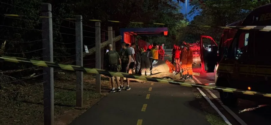 Governo de MS lamenta morte de jovem atingida por árvore em Campo Grande