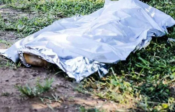Corpo em decomposição encontrado às margens da BR-262 em Campo Grande