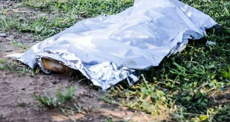 Corpo em decomposição encontrado às margens da BR-262 em Campo Grande