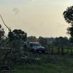 Tragédia em Campo Grande: homem morre eletrocutado durante poda de árvore