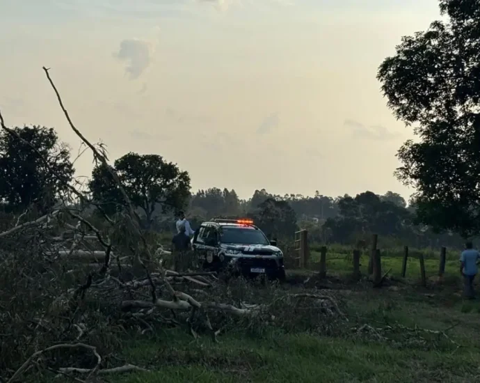 Tragédia em Campo Grande: homem morre eletrocutado durante poda de árvore