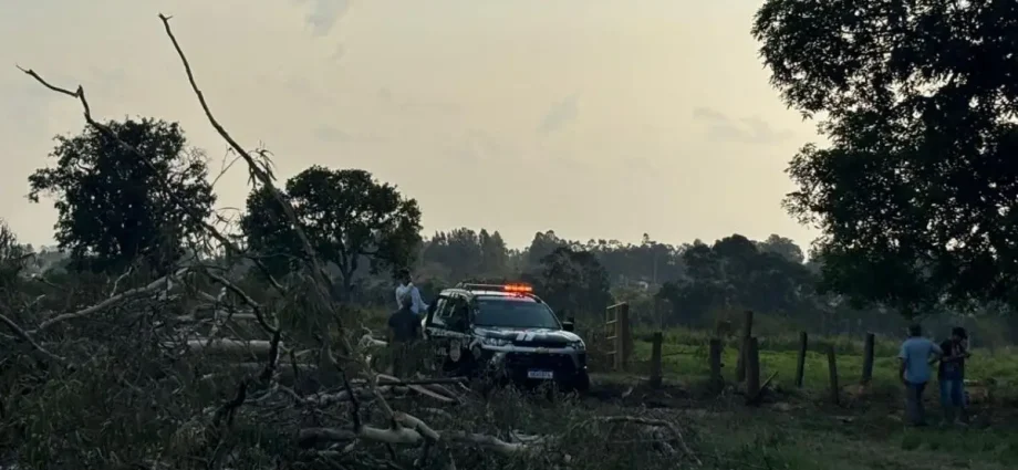 Tragédia em Campo Grande: homem morre eletrocutado durante poda de árvore