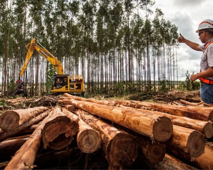 Suzano oferece 18 vagas de emprego em três municípios de MS