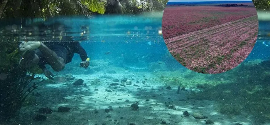 Investigação ambiental em Bonito abrange área equivalente a 336 campos de futebol