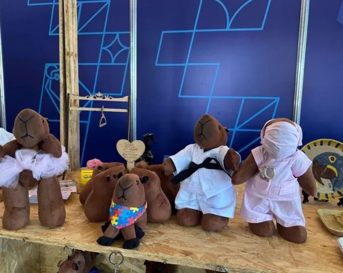 Artesã de Três Lagoas transforma capivaras em arte no Festival de Inverno de Bonito 2026