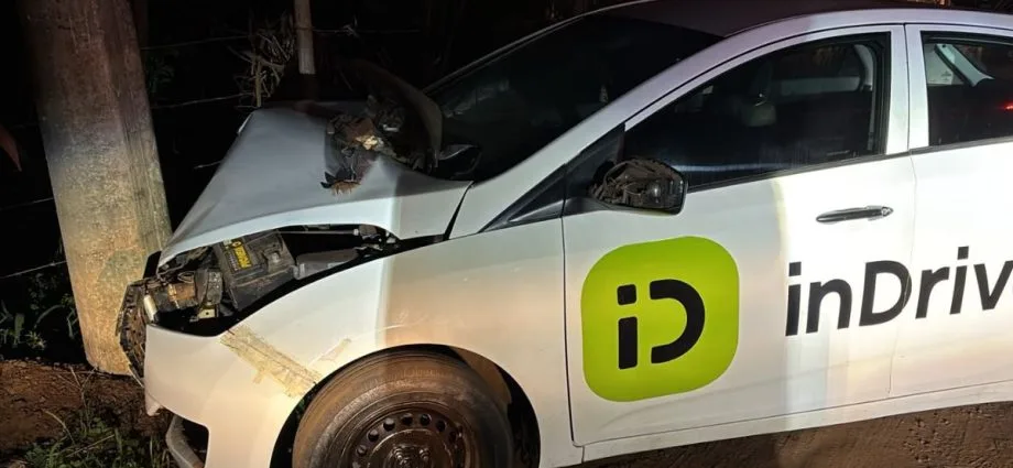 Acidente em Campo Grande: motorista perde controle e colide com poste