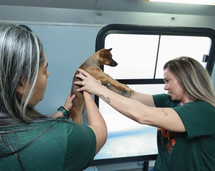 Consultório Móvel oferece atendimento veterinário gratuito em Campo Grande