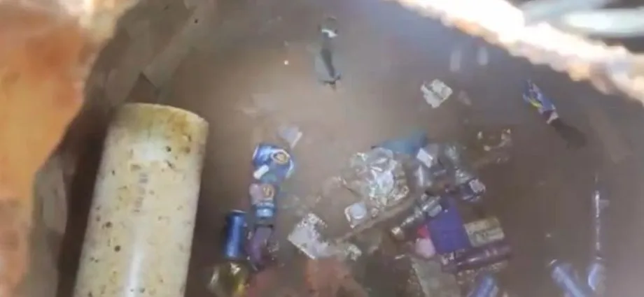 Condenação por Morte de Filhotes de Cachorro em Campo Grande
