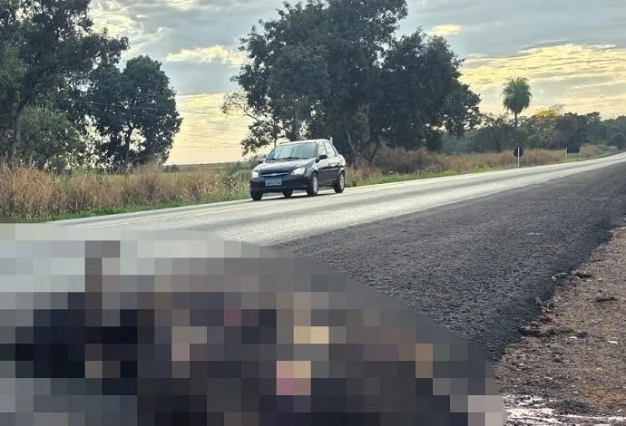 Acidente com vaca na BR-262 causa susto a motorista em Terenos