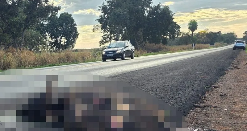 Acidente com vaca na BR-262 causa susto a motorista em Terenos