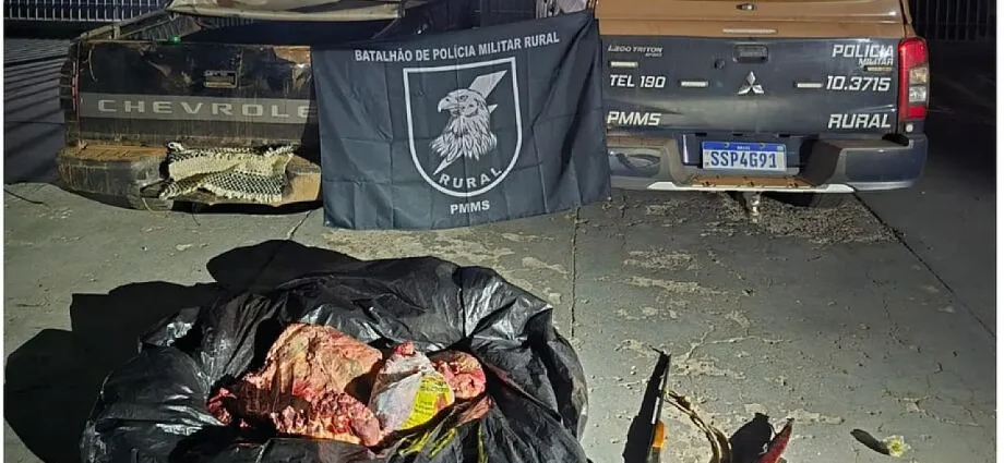Furto de gado em fazenda de ex-prefeito resulta em prisão em Anastácio