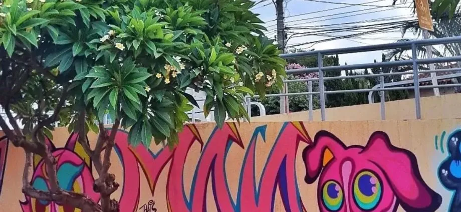Eventos em Campo Grande: Feira, teatro e festa religiosa neste domingo
