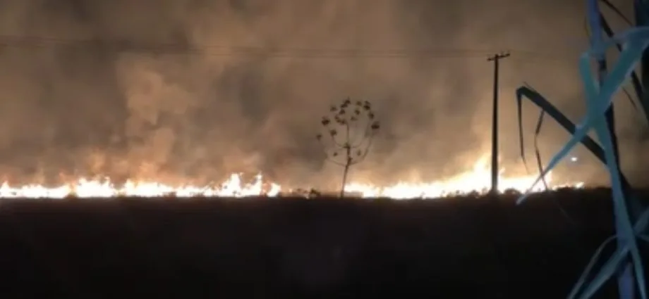 Incêndio em vegetação assusta moradores em Amambai