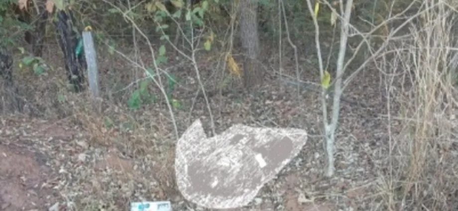 Homem é encontrado decapitado em área rural de Sonora, MS