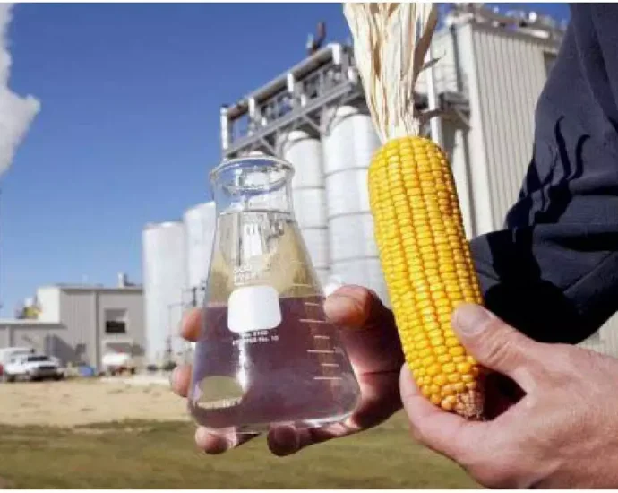 Crescimento da Bioenergia gera riqueza e empregos em Mato Grosso do Sul