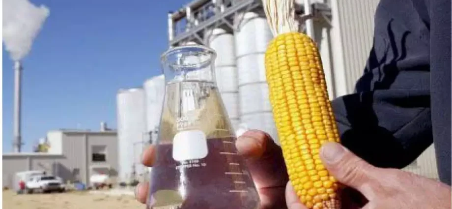 Crescimento da Bioenergia gera riqueza e empregos em Mato Grosso do Sul