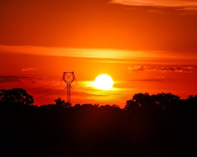 Pesquisadora alerta sobre negligência das ondas de calor no Brasil